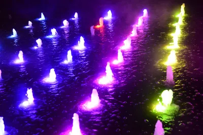 DSC_0725 (Large).JPG